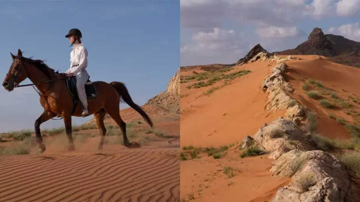 Sharjah Embarks on Conservation Efforts for Meliha National Park