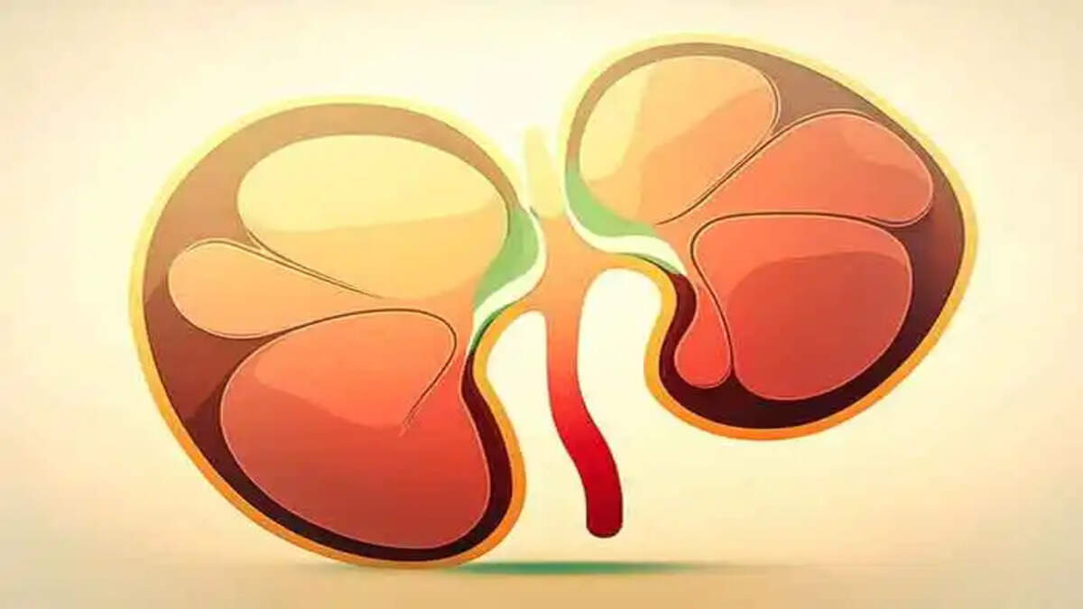 top lifestyle choices for optimal kidney health