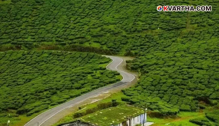 Beautiful tea estate in Valparai.