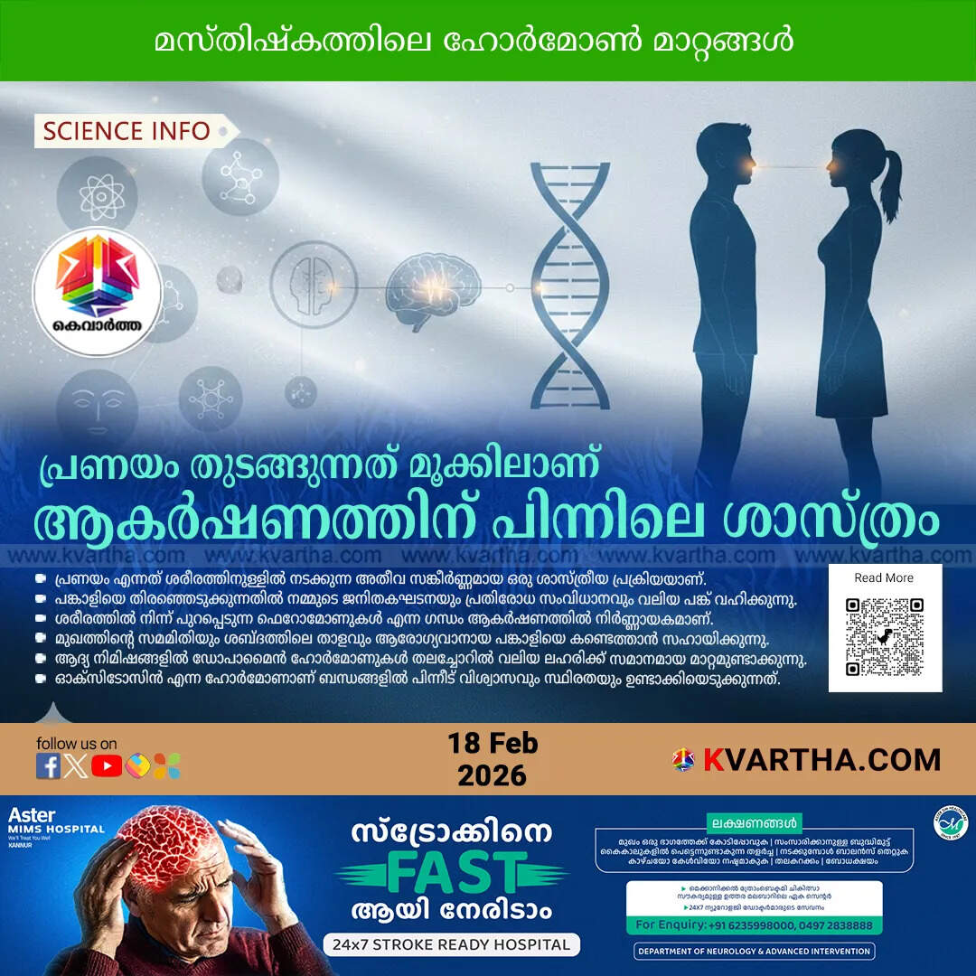 science of human attraction love pheromones hormones