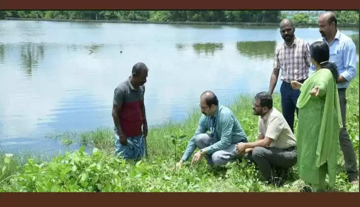 Mangrove Project