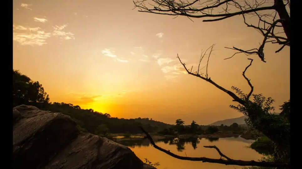 A serene view of Bhutathankettu Dam