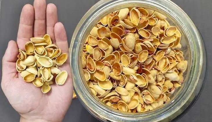 Using Pistachio Shells Effectively in Gardening