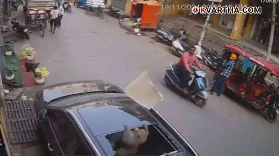 Monkey Damages SUV Sunroof After Jumping from Roof