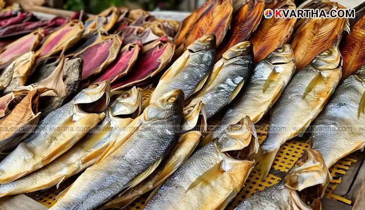 Various types of dried fish laid out to dry under the sun.