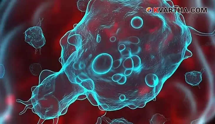 Image Representing Kerala's Molecular Lab Successfully Identifies First Amoeba Causing Brain Fever