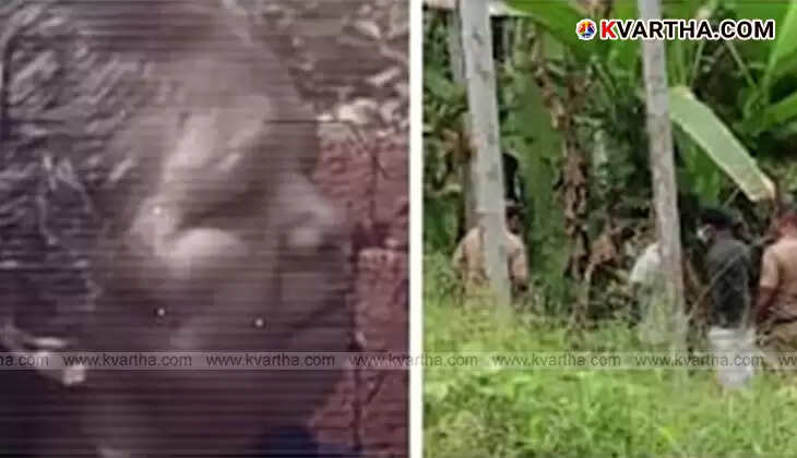 Cherupuzha Roseli death scene