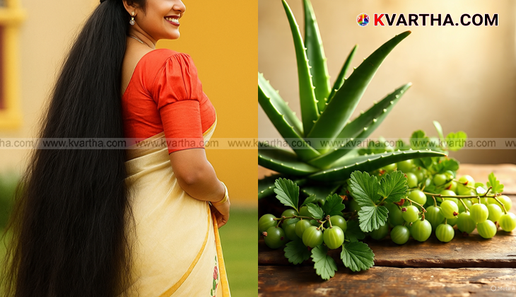 Amla and Aloe Vera for hair.