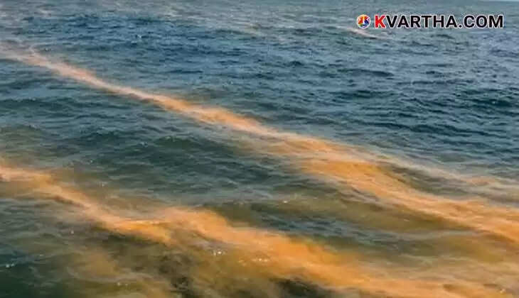 Red tide phenomenon visible 20 km off the coast of Kochi.
