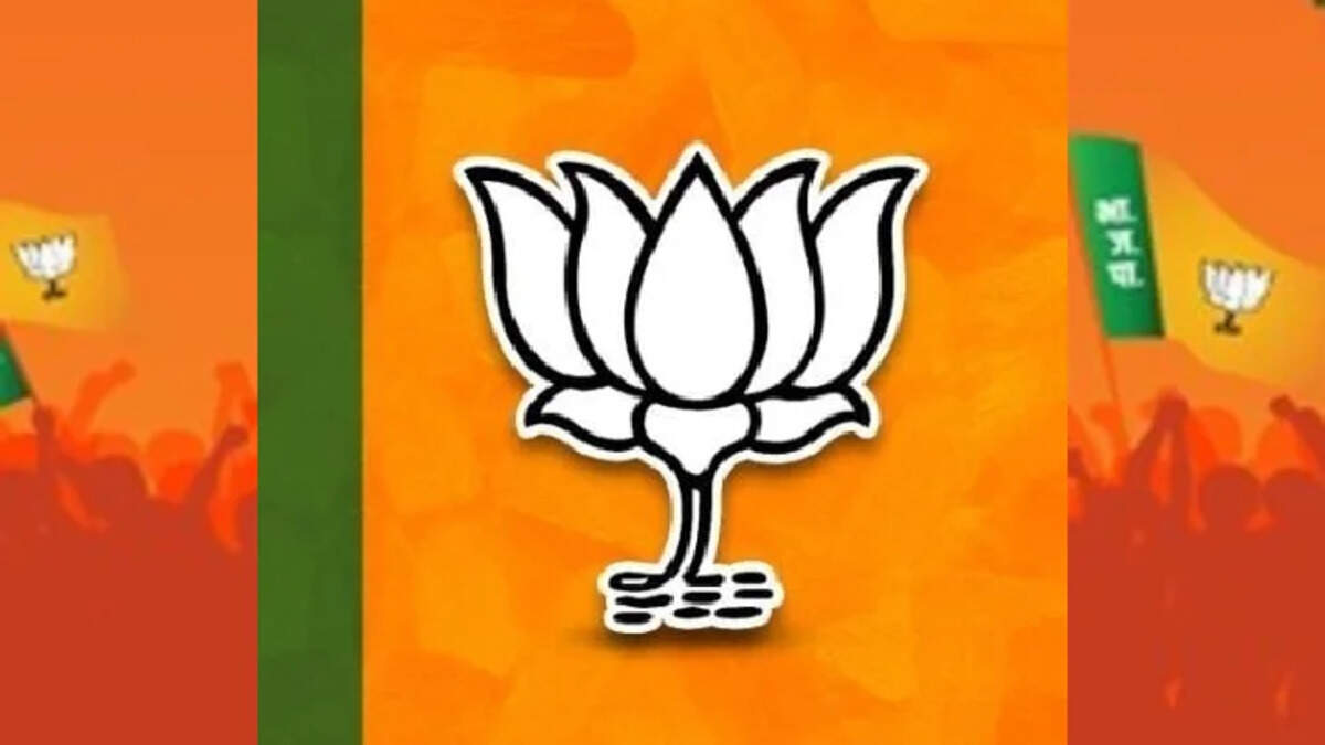 bjp faces backlash after lok sabha elections