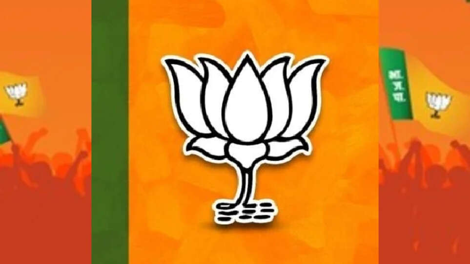 bjp faces backlash after lok sabha elections