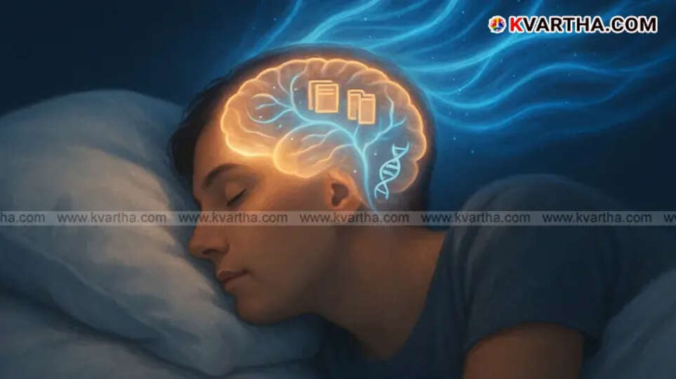 Illustrative image of a sleeping person with subtle glowing neural pathways highlighting brain activity during sleep.
