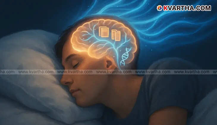 Illustrative image of a sleeping person with subtle glowing neural pathways highlighting brain activity during sleep.