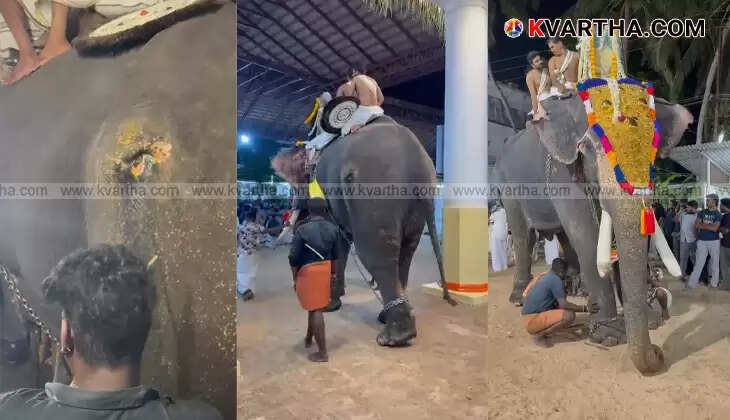 Cruelty Unveiled: Forest Department Intervenes After Visuals Emerge of Injured Elephant Paraded; Demands for Strong Action