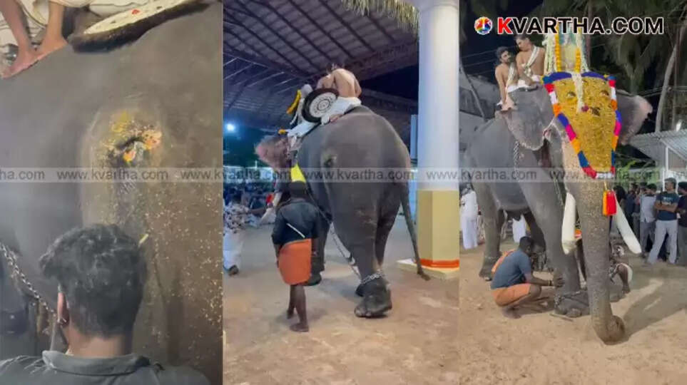 Cruelty Unveiled: Forest Department Intervenes After Visuals Emerge of Injured Elephant Paraded; Demands for Strong Action