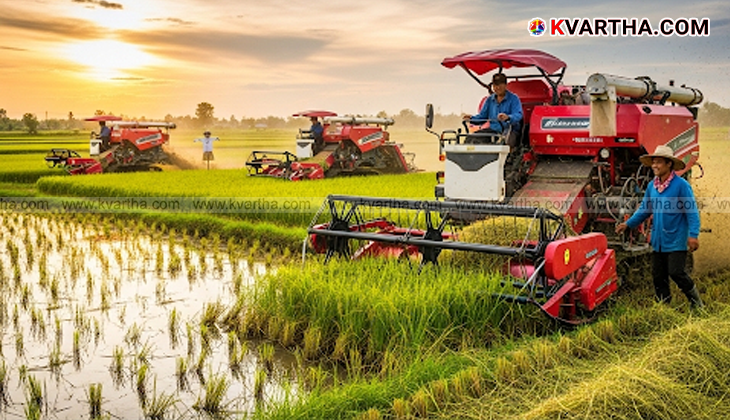 Paddy field in Punjab undergoing mechanical transplantation