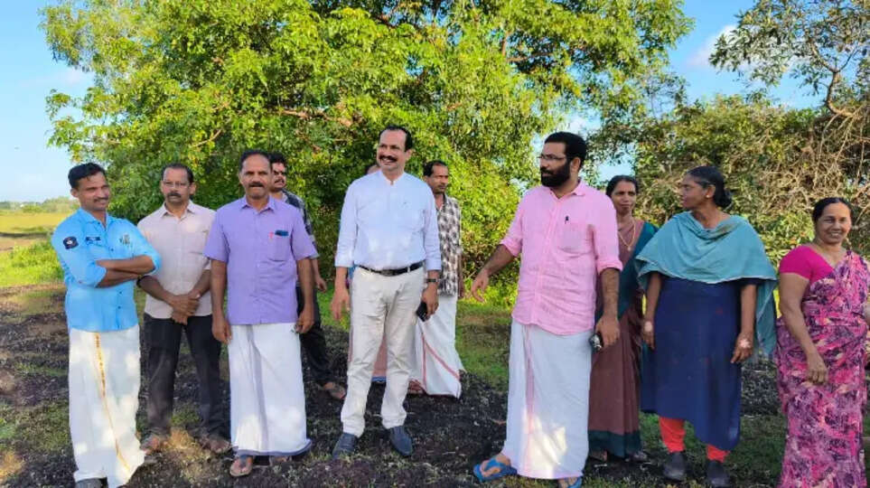 kcscpl to restore mined maadaipara