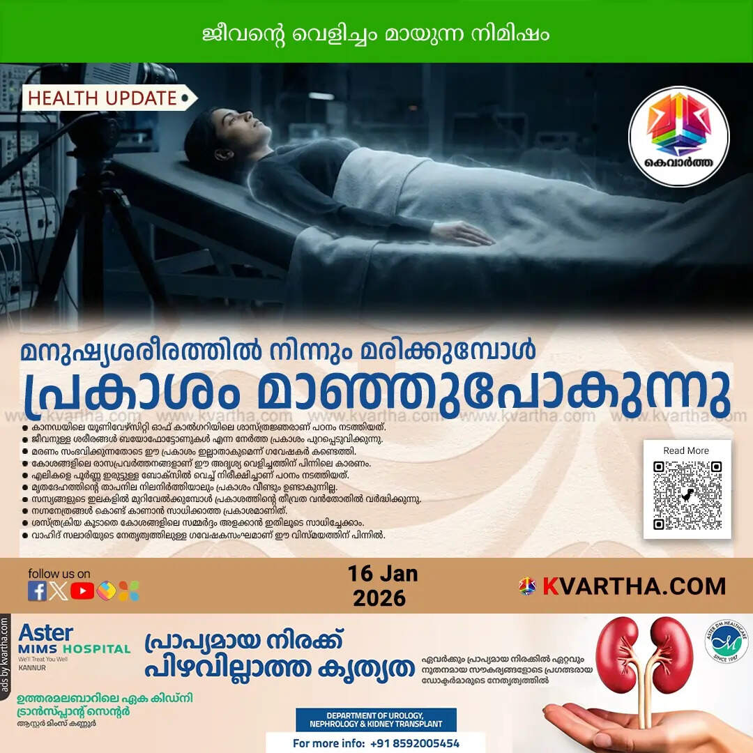 biophotons invisible light leaves body after death science