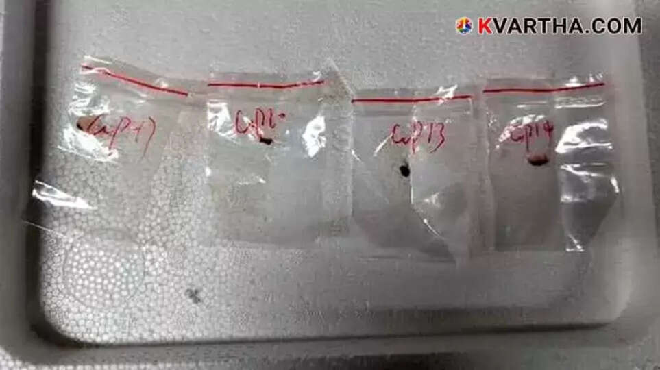 Chinese nationals charged with smuggling 'AGROTERRORISM WEAPON' into US