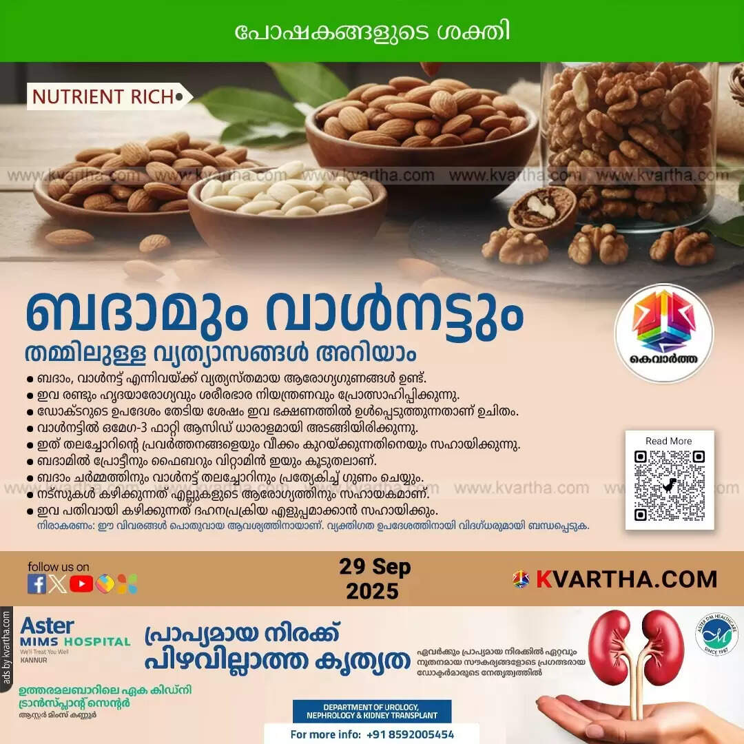 badam walnut prayoganakaram visheshangalum ariyuka