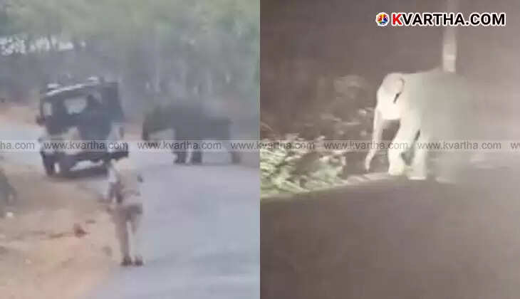 Wild elephant tranquilized in Iritty, Kannur district after entering residential area.