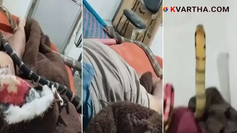 Still image from viral video showing a king cobra on a man's bed.