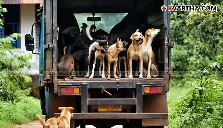 Attempt to Abandon Stray Dogs in Kottarakara Sparks Outrage; Locals Prevent the Act and Uncover Alarming Details