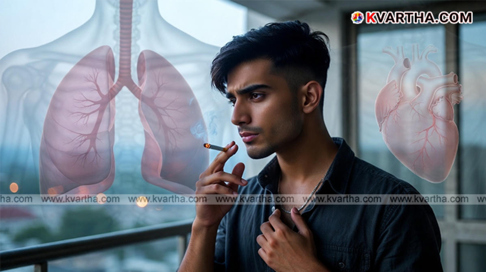 Illustration of lungs and heart affected by cigarette smoke