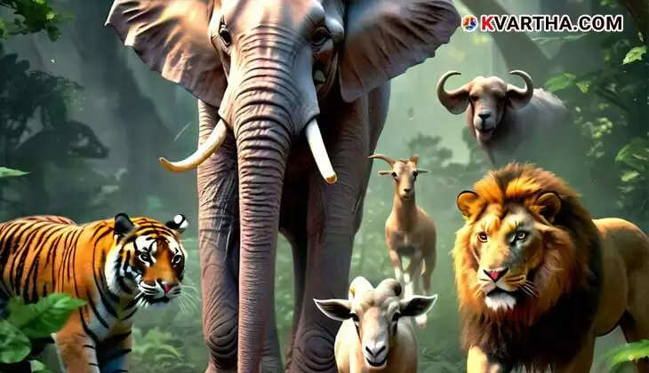 Dangerous Animals in India