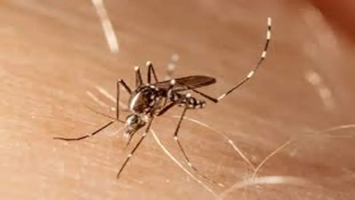 Dengue fever
