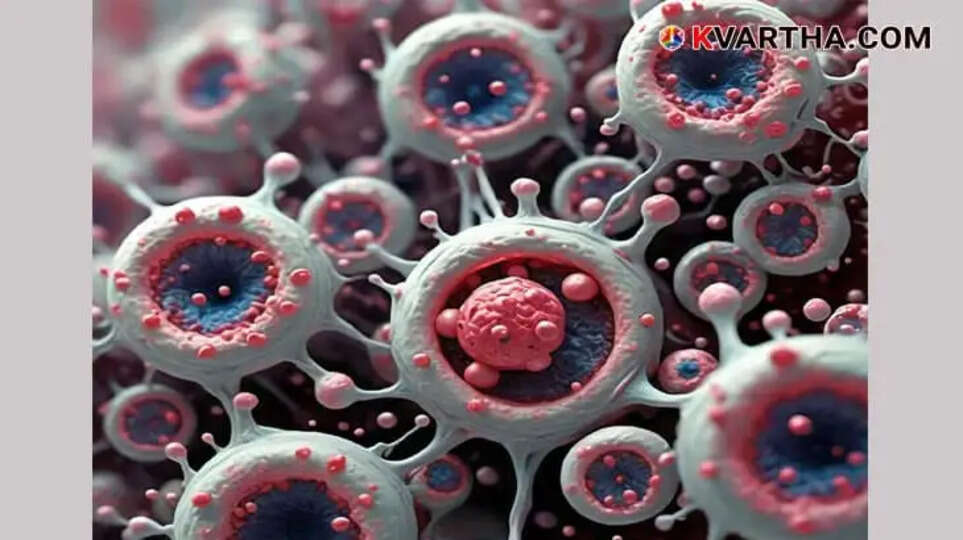 Watch Out for These 5 Symptoms: Early Signs of Stomach Cancer