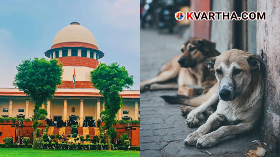 The majestic exterior building of the Supreme Court of India located in New Delhi under clear blue sky.
