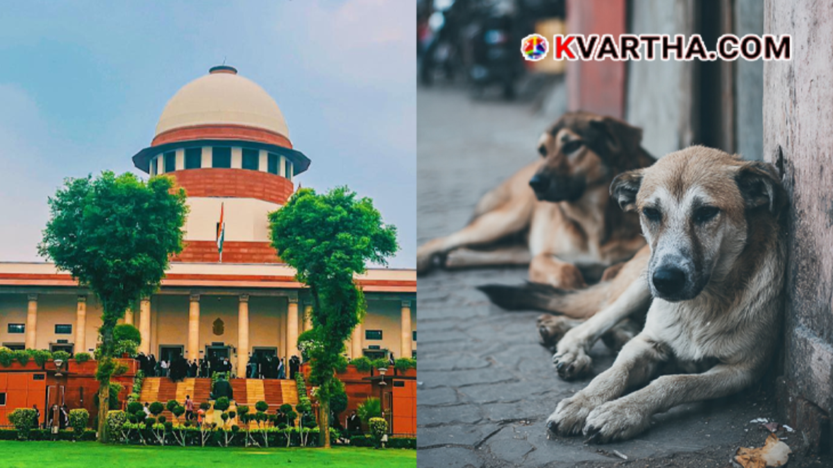 The majestic exterior building of the Supreme Court of India located in New Delhi under clear blue sky.