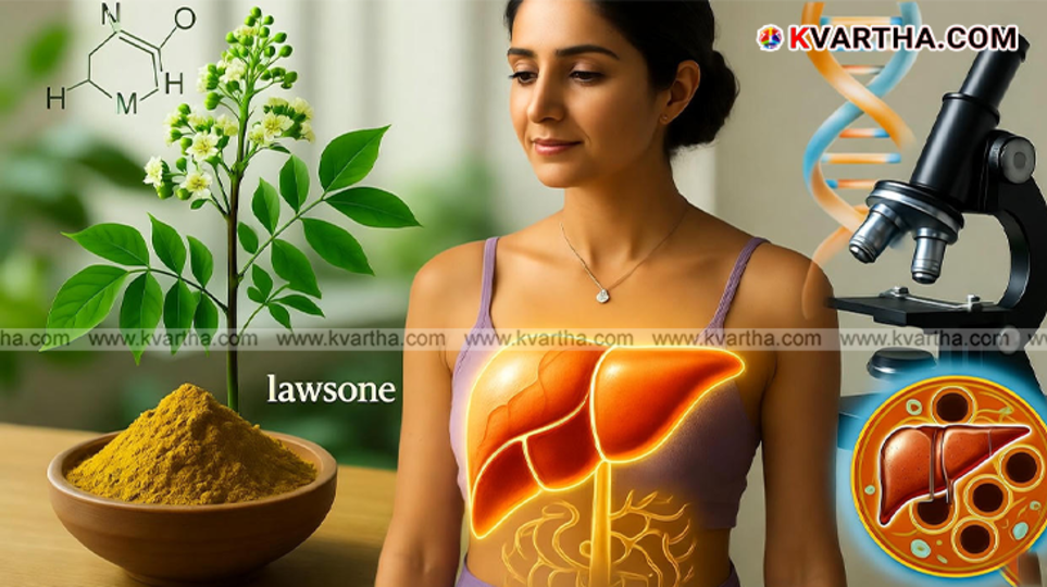 Image of Henna plant Lawsonia inermis