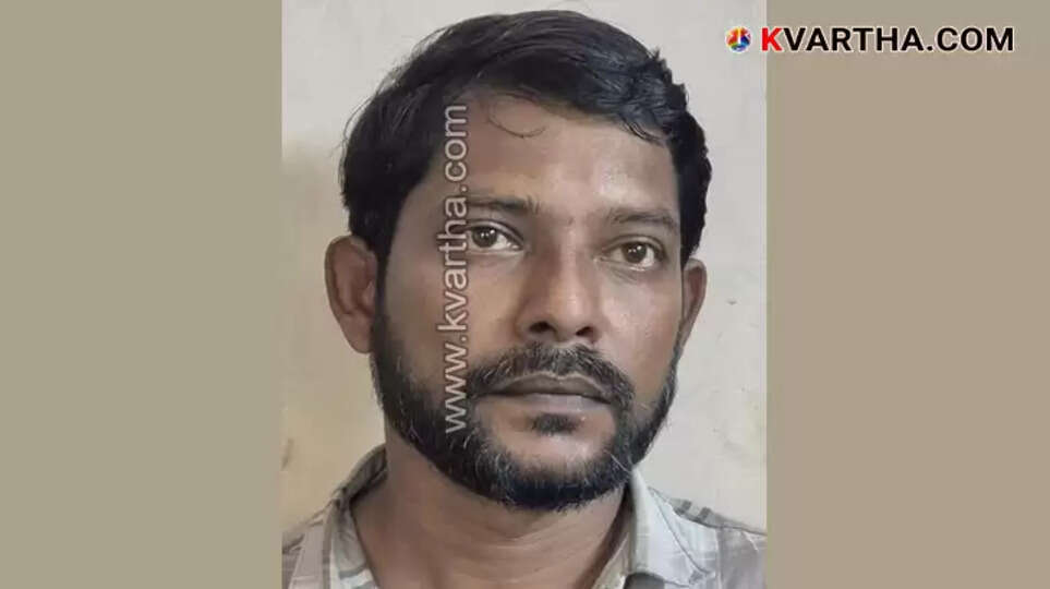 Seized cannabis in Irikkur, Kannur.