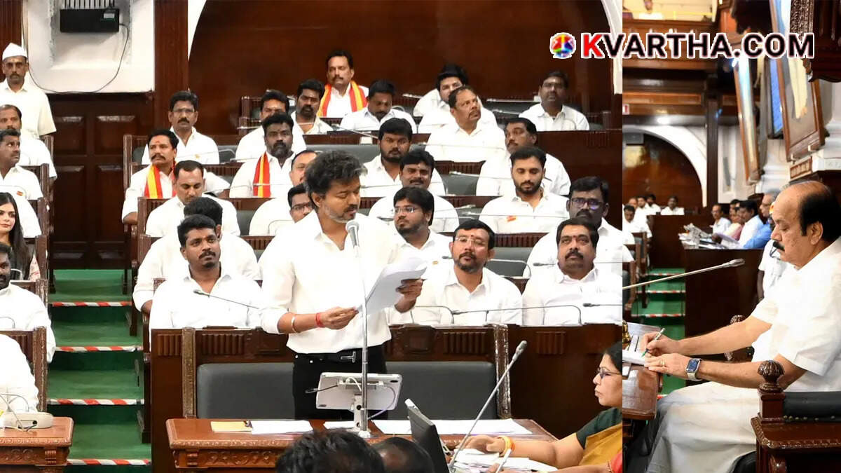 Tamil Nadu Chief Minister C Joseph Vijay addressing the assembly