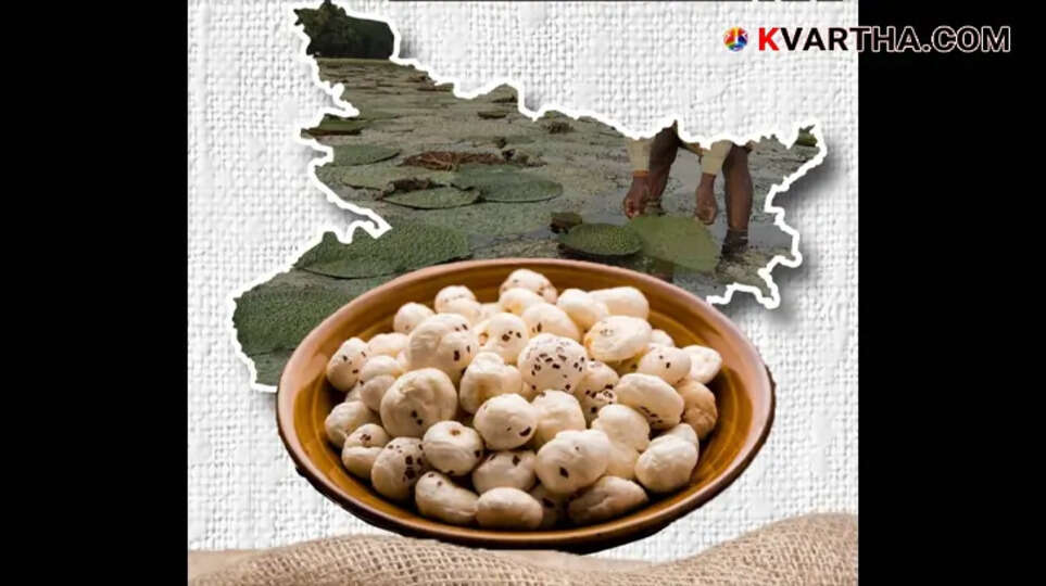 Makhana cultivation in Bihar