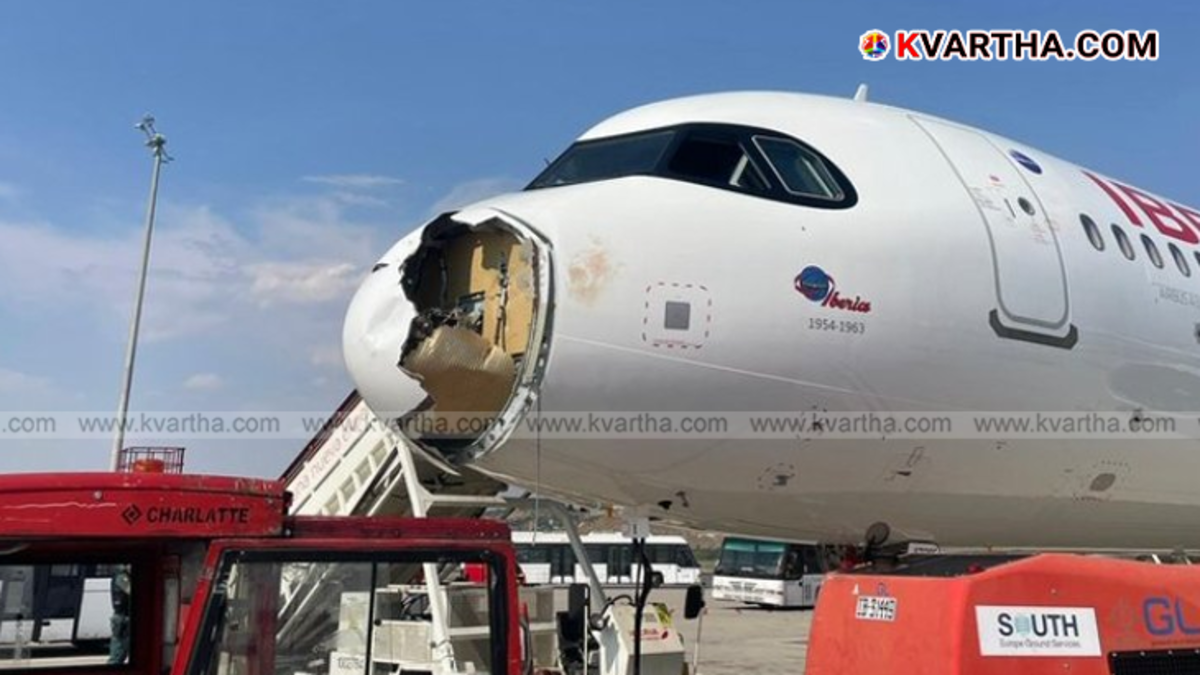Bird Strike Damages New Iberia Airbus, Passengers Safely Returned to Madrid Airport