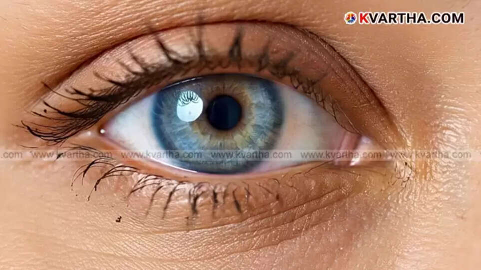  A pair of advanced contact lenses, symbolizing the new technology for night vision.