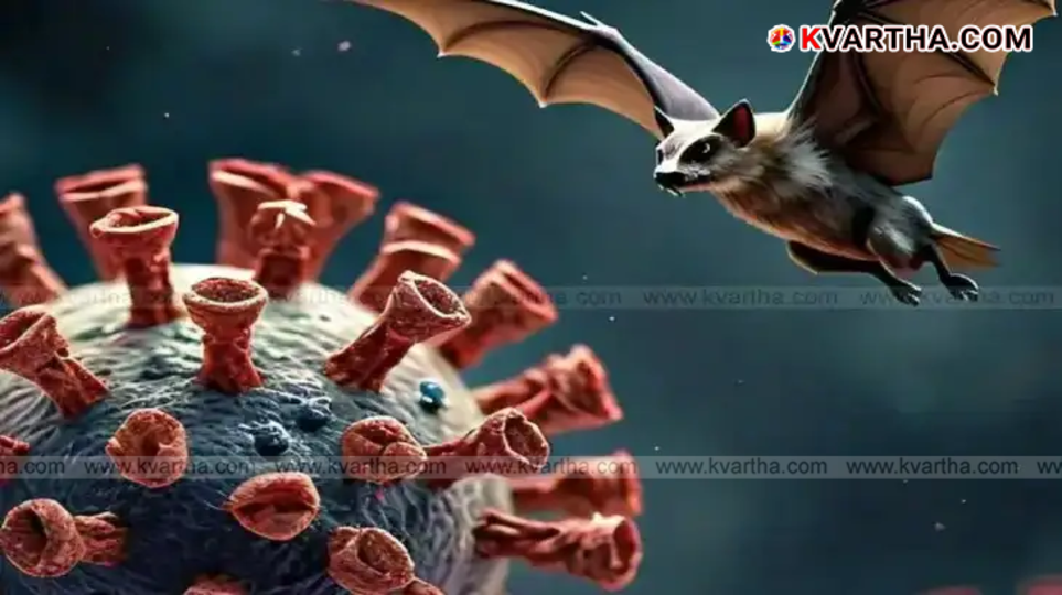 Kerala Health Minister Veena George chairing a high-level meeting on Nipah virus prevention.