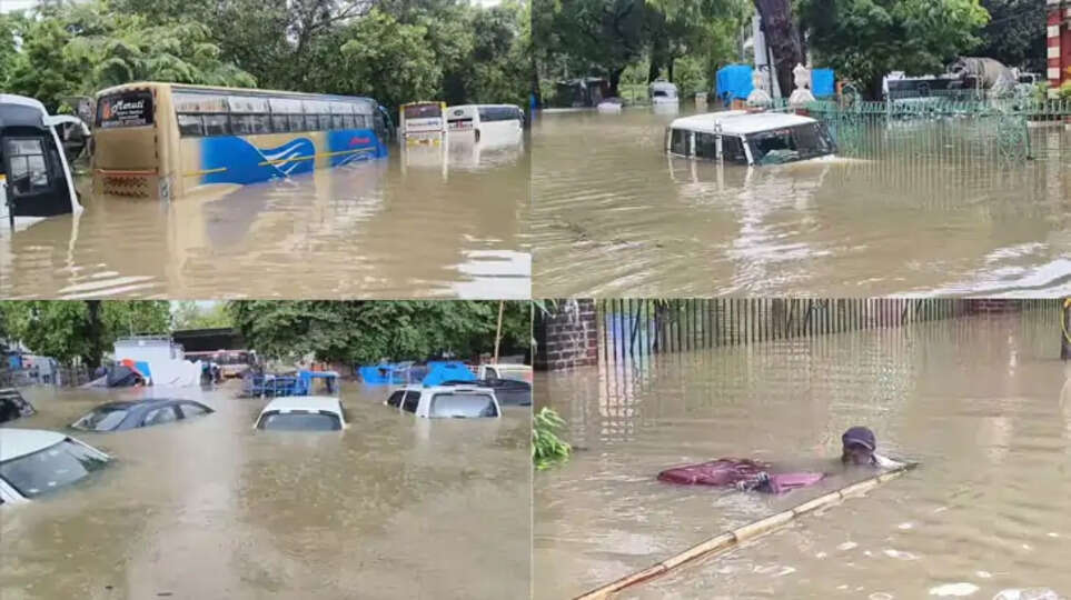 A flooded area in Gujarat