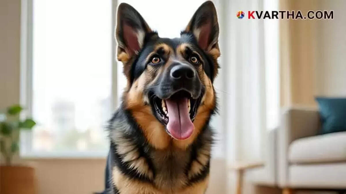 Image Representing Man falling from the third floor of an apartment building after a dog attack.