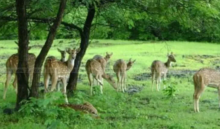 13 must visit tourist destinations in chhattisgarh