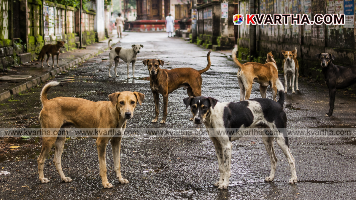 Conceptual image representing child safety and stray dog threat