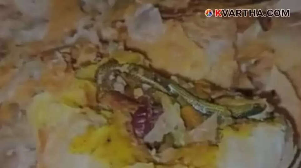 Woman Files Case Against Bakery After Finding Snake in Puffs Purchased for Her Children in Telangana