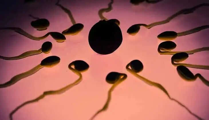 Fertility