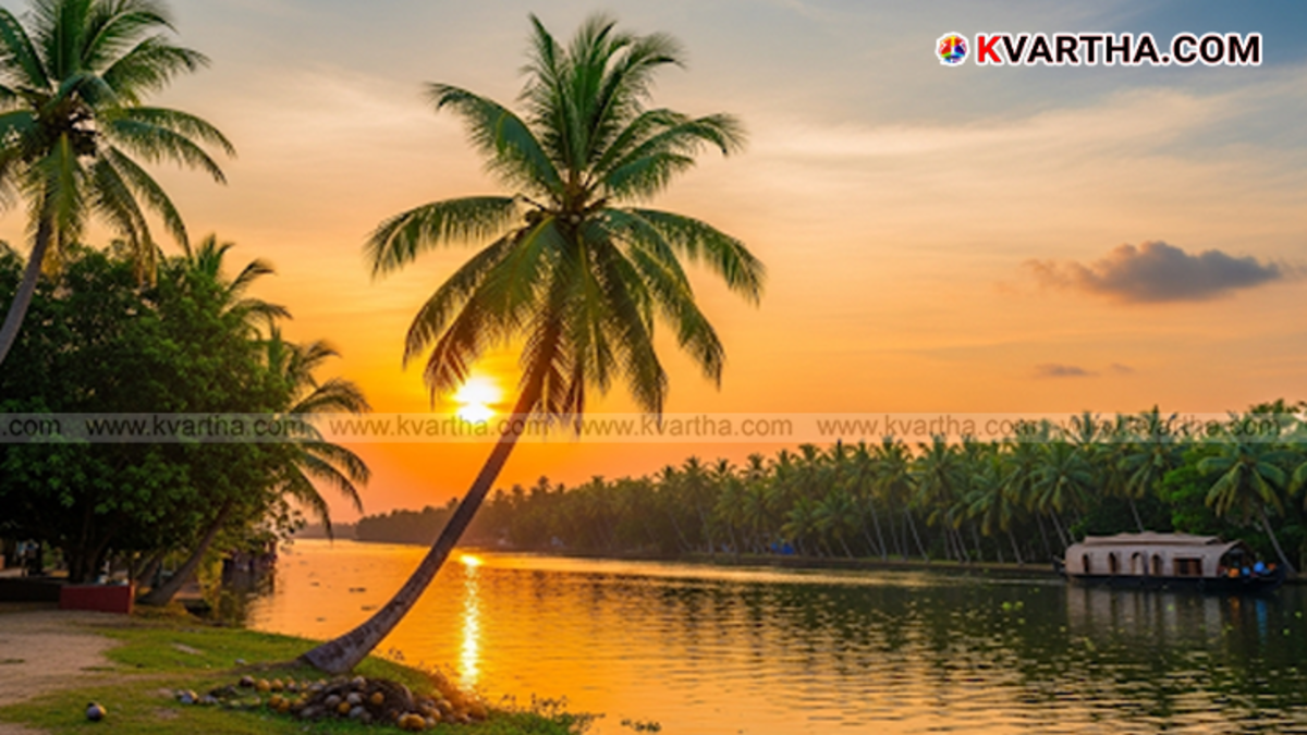 Coconut tree in a lush field in Kerala, symbolizing the state's agriculture.