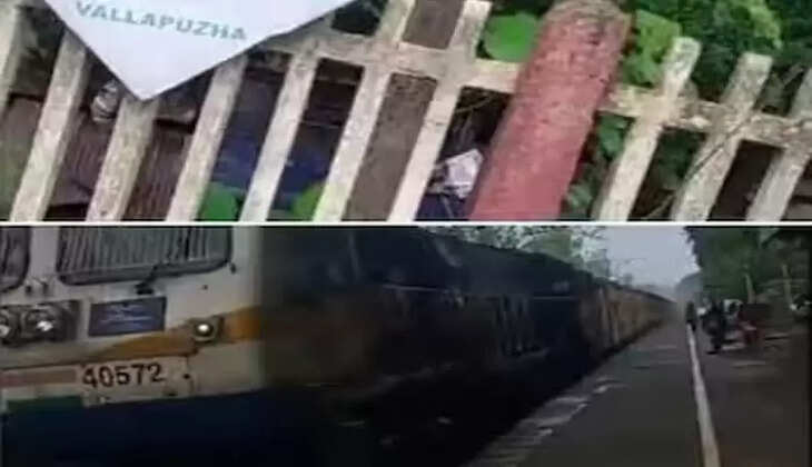 Ayurveda doctor suspected that rat bitten on Nilambur-Shoranur passenger train, Ayurveda Doctor, Young Woman, Bitten