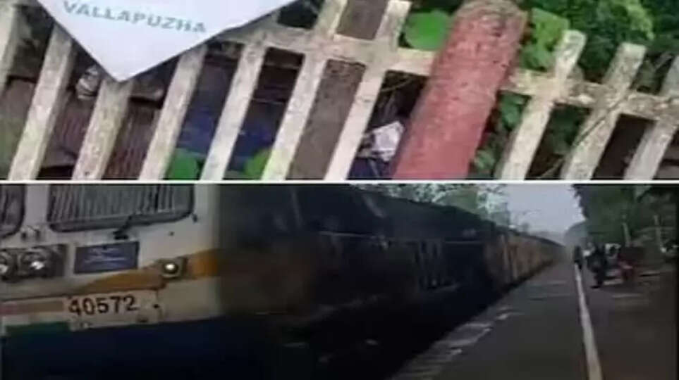 Ayurveda doctor suspected that rat bitten on Nilambur-Shoranur passenger train, Ayurveda Doctor, Young Woman, Bitten