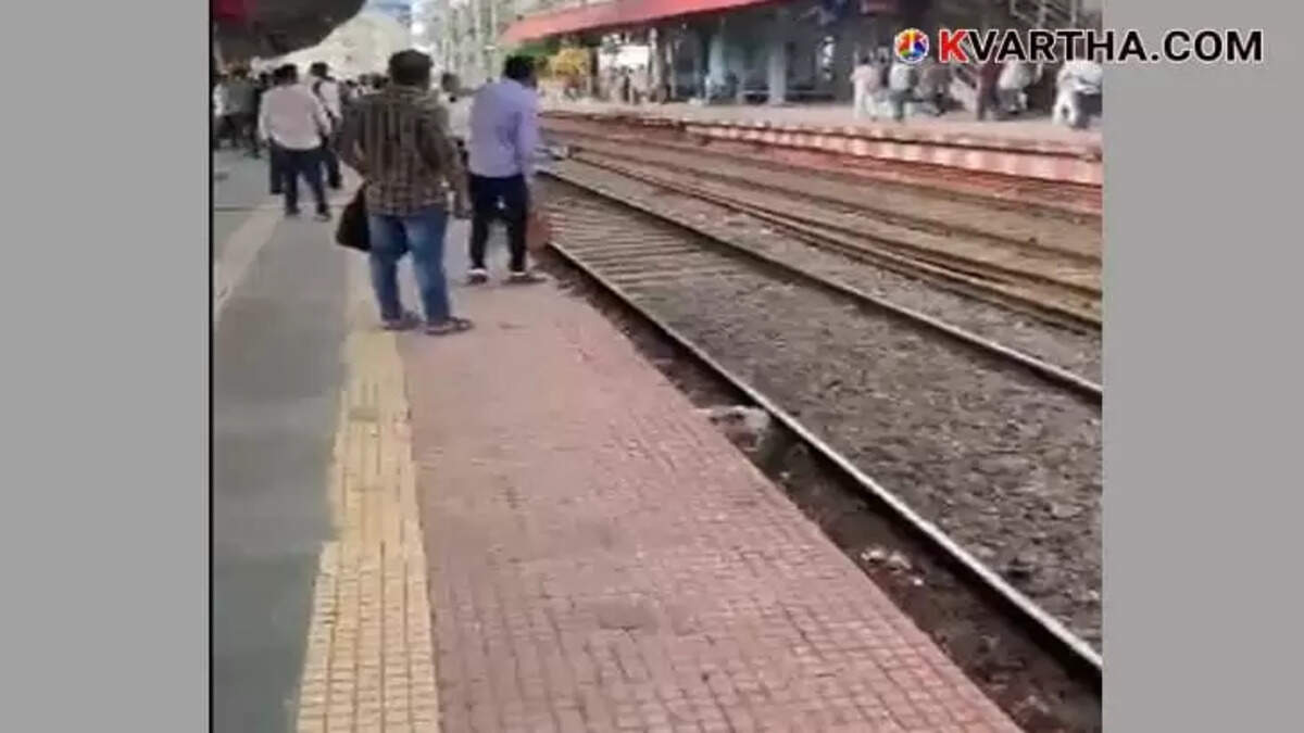 Five Dead, Twelve Seriously Injured After Passengers Fall From Moving Pushpak Express Near Mumbai